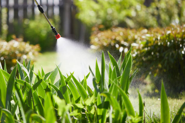 Tamper-Resistant Bait Stations for Rodents in Eldorado
