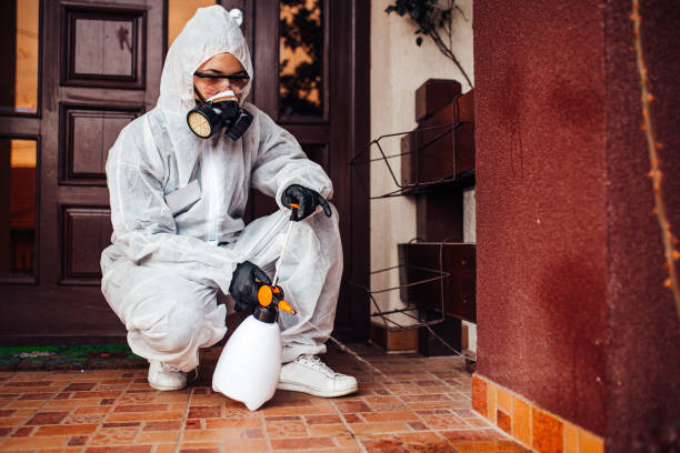 Attic and Crawl Space Rodent Treatment in Eldorado